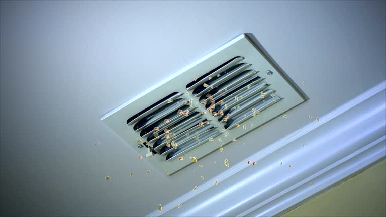 Best Affordable HVAC Duct Cleaning  in Manitowoc, WI